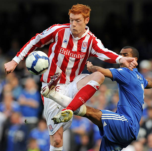 调整提供了 调整提供了