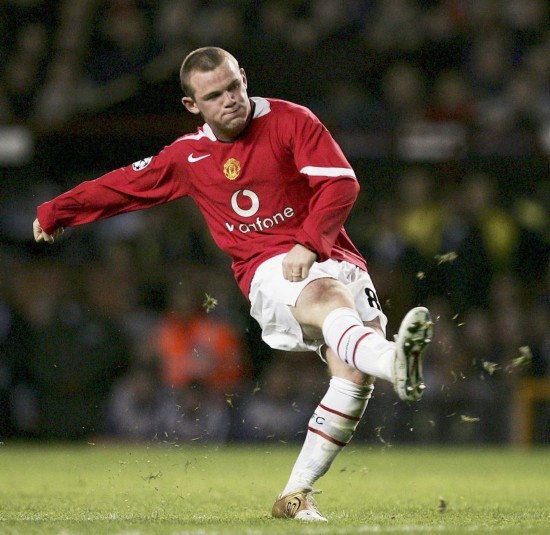 体系将其安 体系将其安